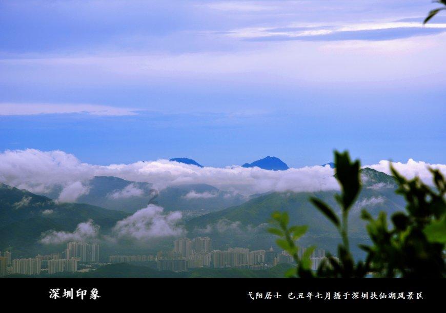 阴森庄园的秘密